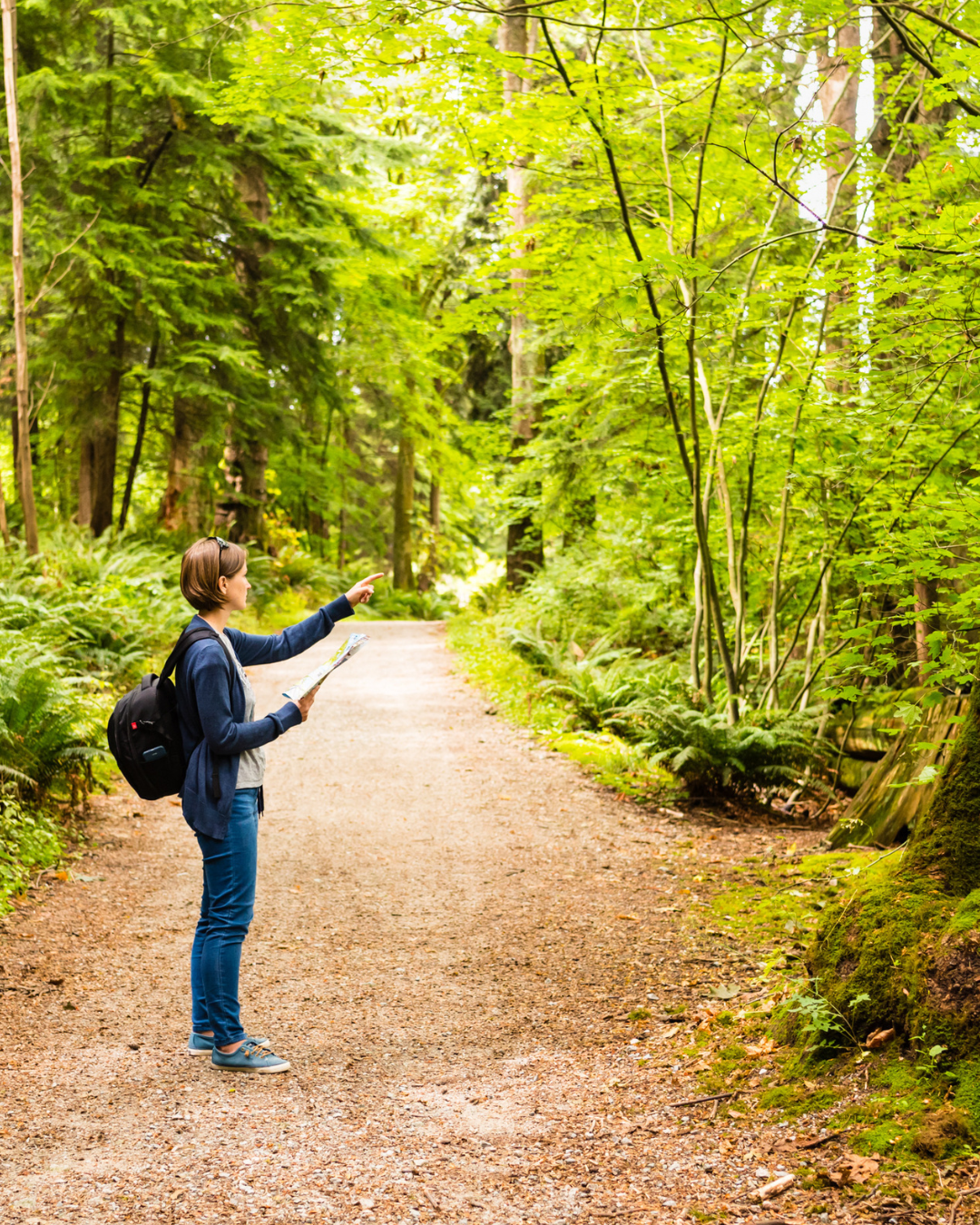 Explore Stanley Park’s forest trails