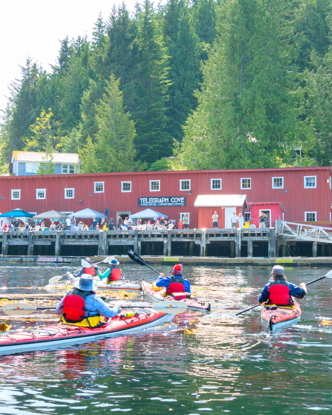 Kayak or paddleboard on the water
