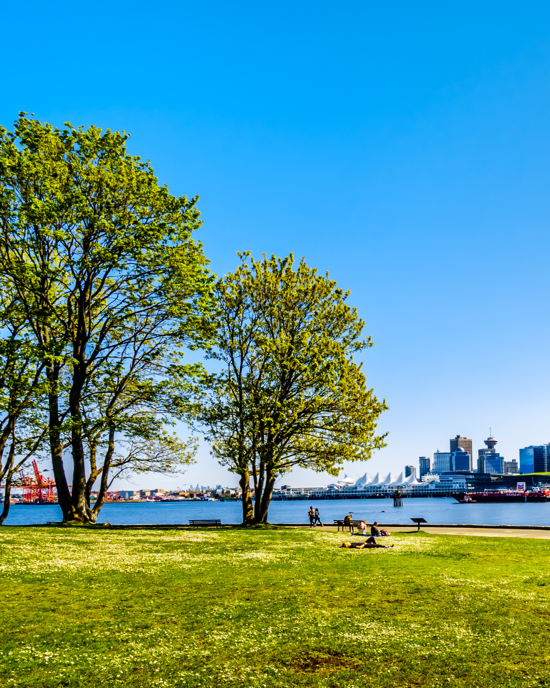 Stanley Park