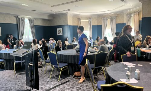 ExpertWitnessWorkshop
